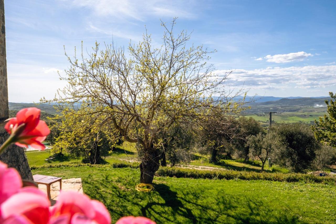 Podere Montale Il Borgo Seggiano Ngoại thất bức ảnh